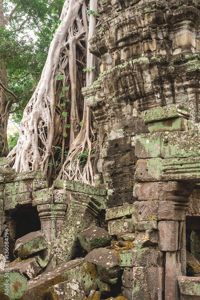 Fototapeta premium Trees and galleries in Ta Prohm Temple, Cambodia.