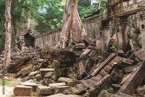 Trees and galleries in Ta Prohm Temple, Cambodia.