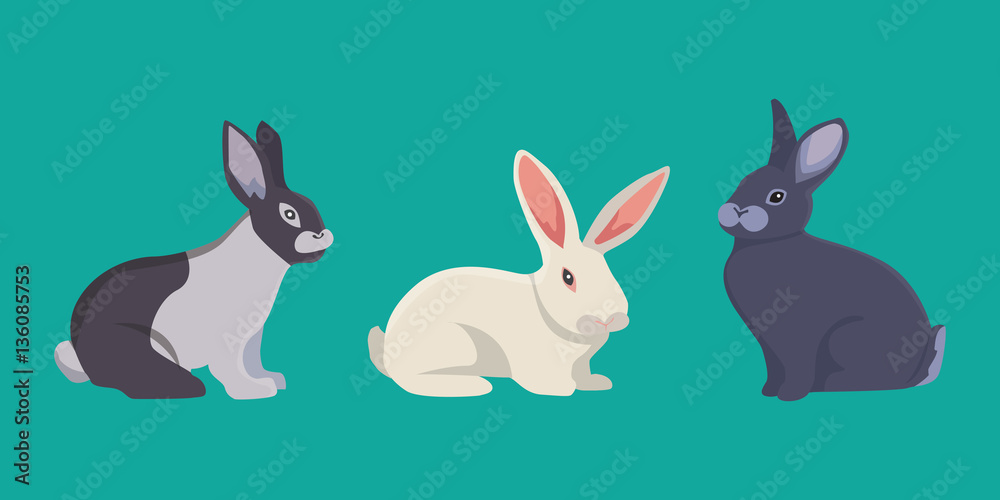 vector illustration of cartoon rabbits different breeds. Fine bunnys for veterinary design