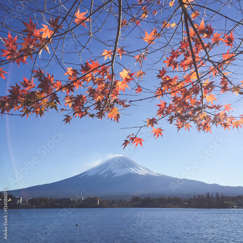 Mount Fuji and sakura in spring at Kawaguchiko  japan. Cherry blossom Sakura . Beautiful blossom sakura in japan.
