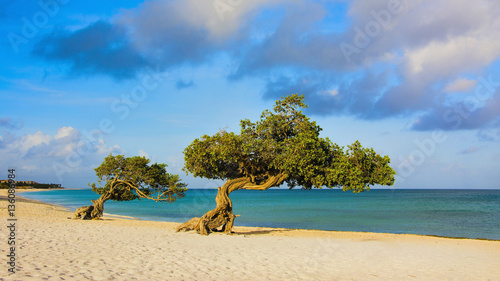 Fototapeta Naklejka Na Ścianę i Meble -  Eagle Beach Aruba