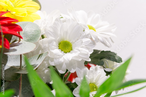 A beautiful bouquet of multicolored flowers. Bouquet of gerberas and daisies. Bridal bouquet. Bundle of flowers in a vase. Fresh scent of spring flowers. photo