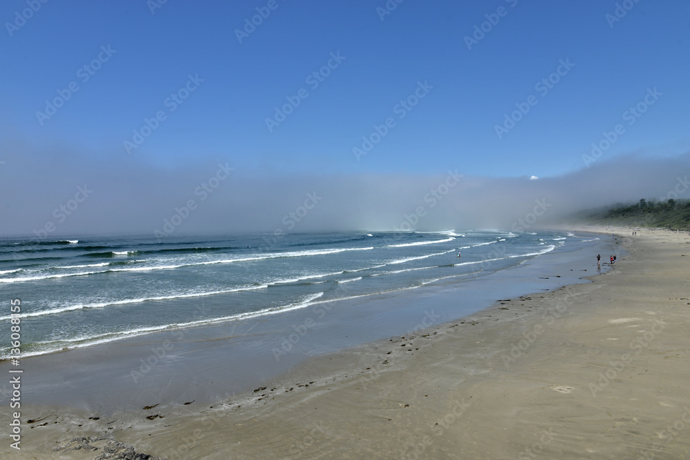 plage et brume