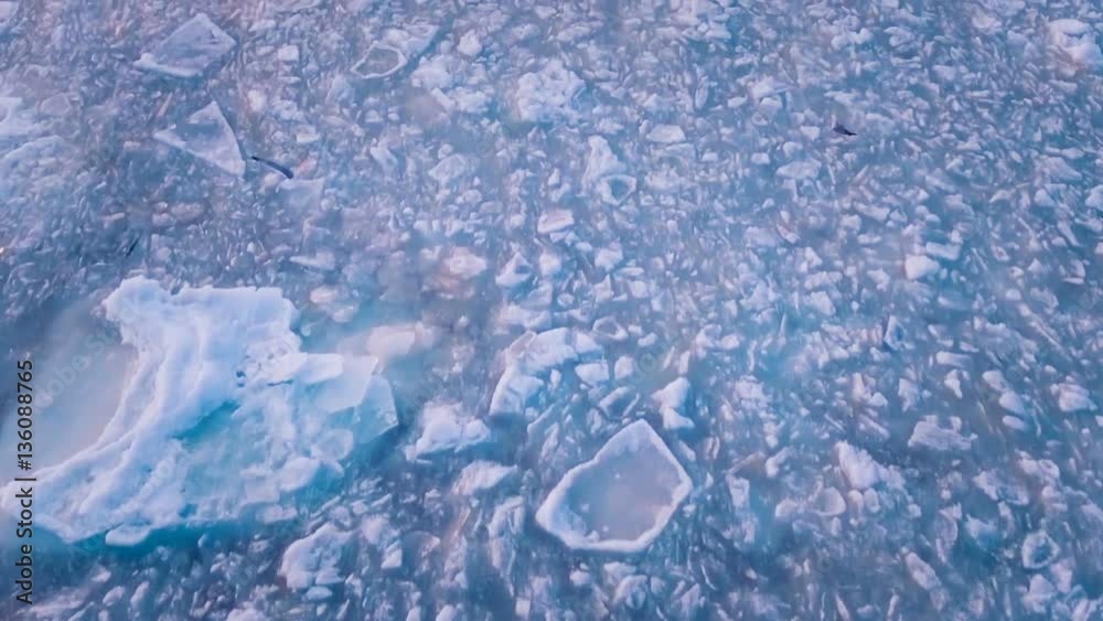 Seagulls hover over the frozen ocean during a beautiful pink sunset. Slow motion (120 fps). Seagulls sitting on ice, and the drone flies over them. Seagulls hover over the frozen ocean during a beautiful pink sunset. Slow motion (120 fps). Seagulls sitting on ice, and the drone flies over them.