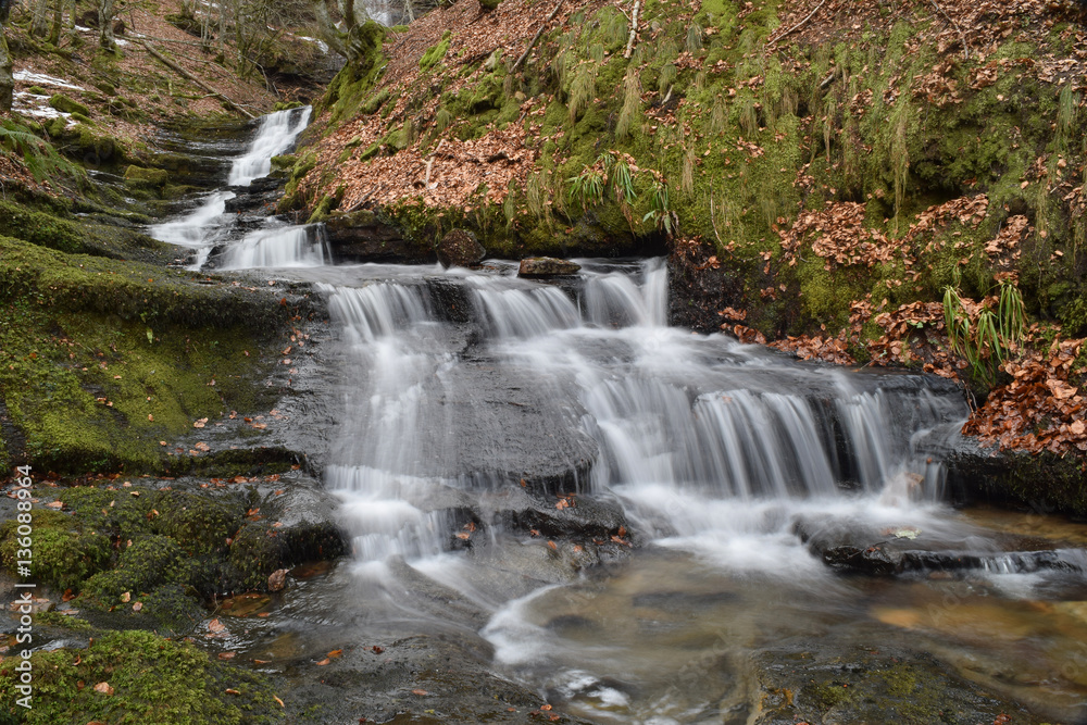 Obraz premium Arroyo en el Gorbea - 4