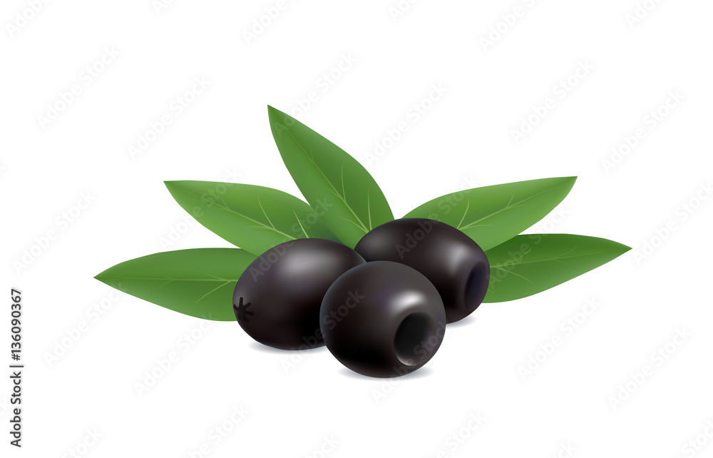 illustration of black olives on white background illustration of black olives on white background