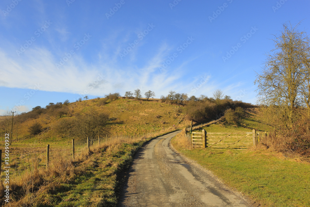 sunny winter hillside landscape