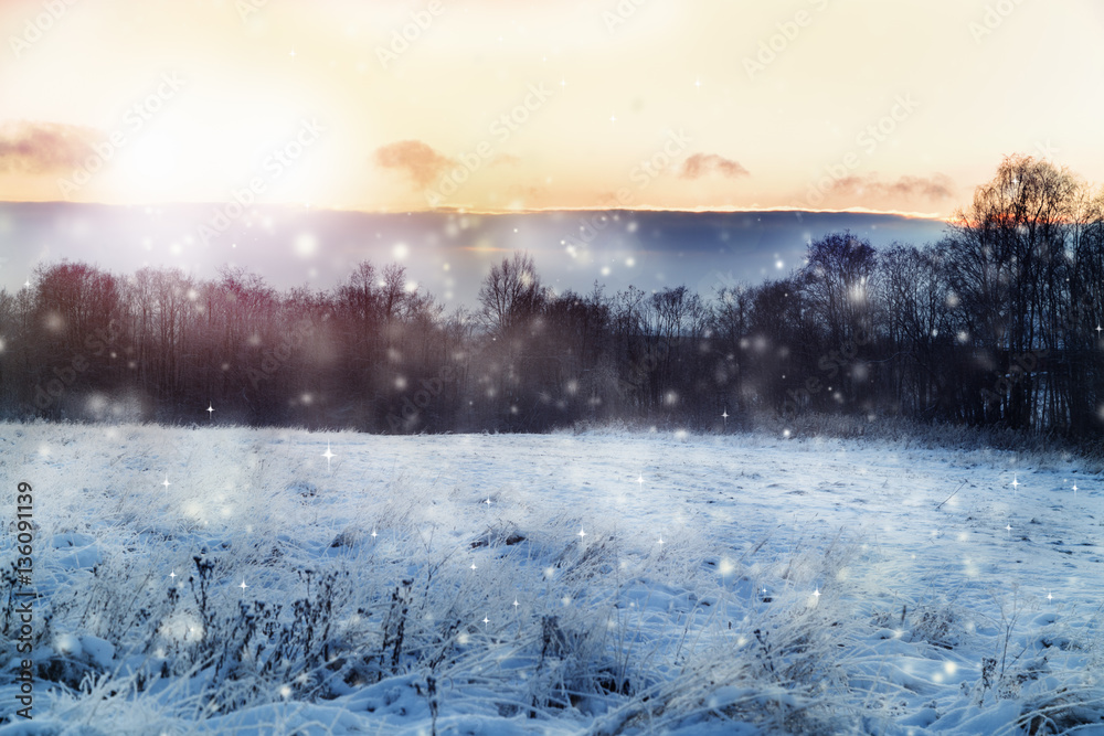 Fototapeta premium Beautiful winter landscape.