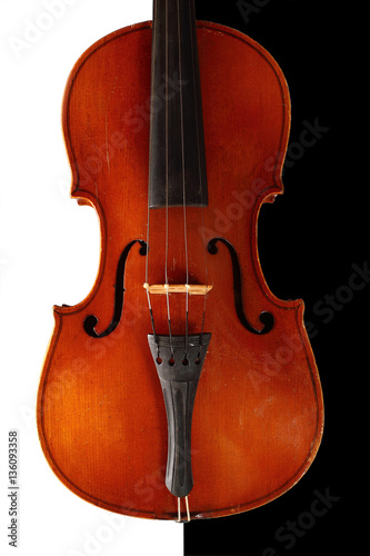фотографія Music and elegance - Violin