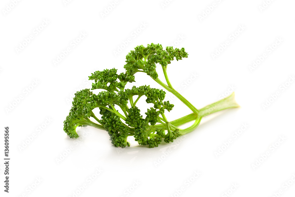 Fresh parsley isolated on white Fresh parsley isolated on white