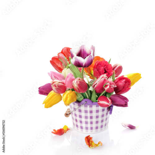 Fototapeta Naklejka Na Ścianę i Meble -  Tulips in flowerpot. Isolated on white background