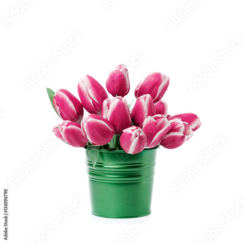 Fototapeta Naklejka Na Ścianę i Meble -  Pink tulips in a pot isolated on a white background