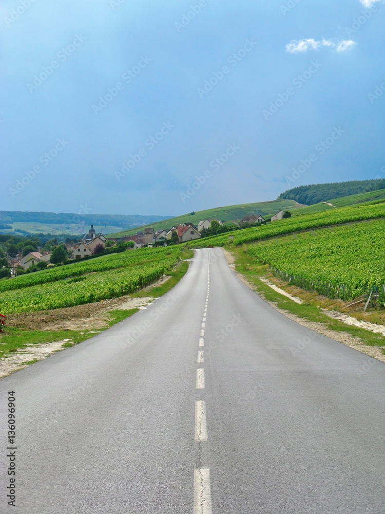 Road and Vineyard in Champagne, France