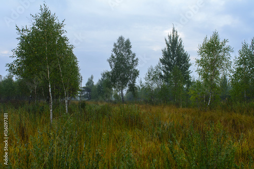 Fog  Belarus  Brest region  September  autumn  morning  dawn 