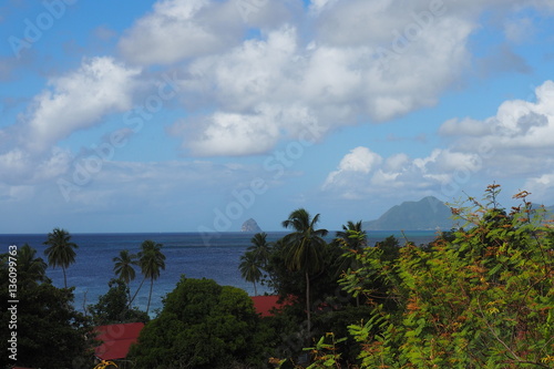 Martinique vue de l 'Anse Figuier © Patricia