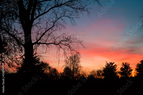 Colorful epic sunset and house and tree silhouette
