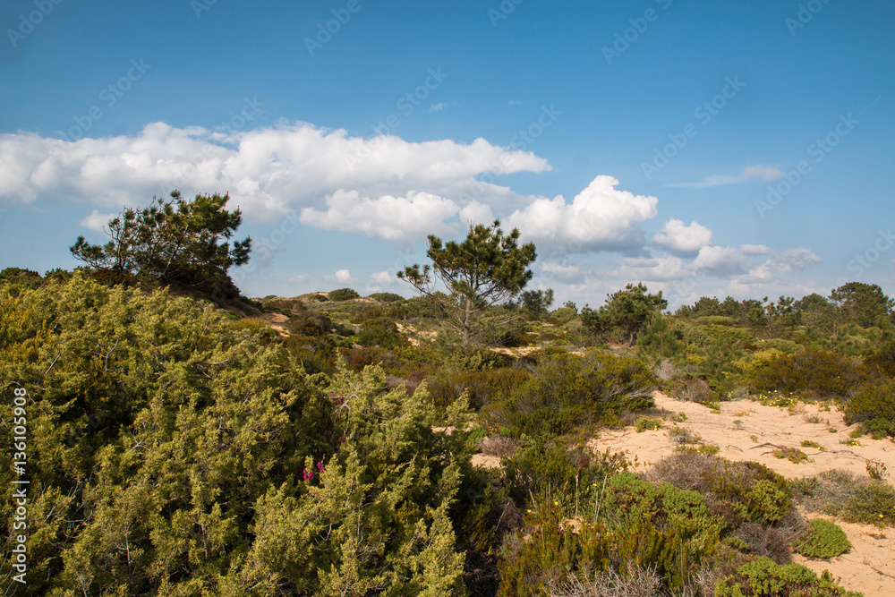 Beautiful landscapes of Fishermen's Trail, Trails Alentejo, Rota Vicentina hiking trail Portugal Beautiful landscapes of Fishermen's Trail, Trails Alentejo, Rota Vicentina hiking trail Portugal