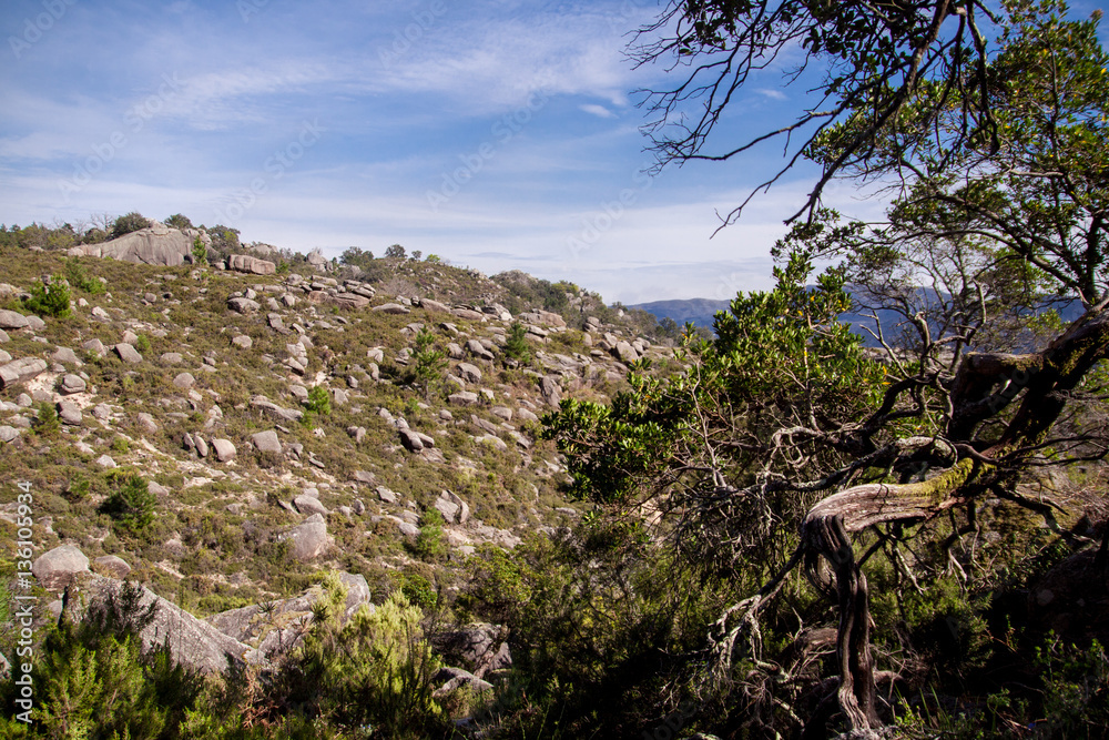 Landscape of Peneda geres national park in Portugal