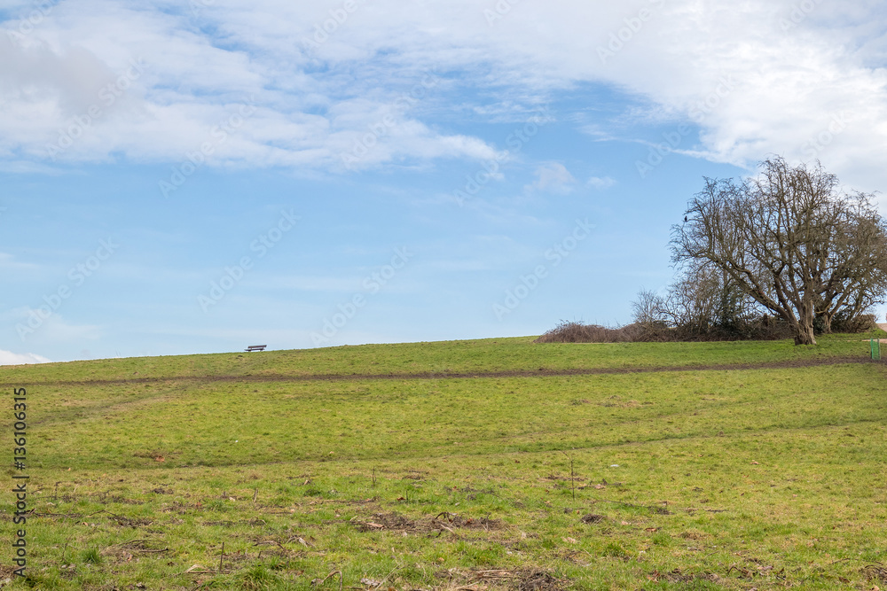 Heath in a park under the blue sky full of clouds