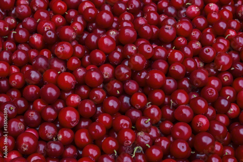 Rustic background with red tasty colorful cranberries, top view. Soft focus, closeup cranberry photo for eco cookery business. Antioxidant natural cowberry harvest