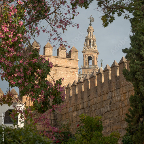Seville Cathedral No.5, 2016