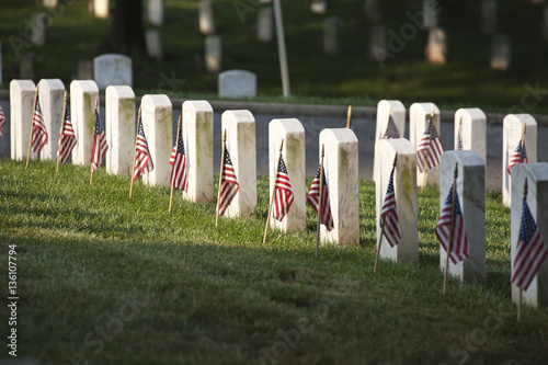 Grave markers with flags at Arlington National Cemetery on Memor photo