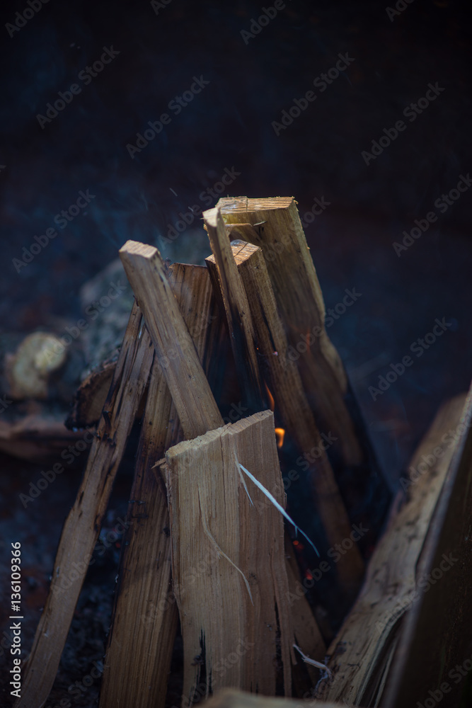Firewood buring at campfire in the park during holidays Firewood buring at campfire in the park during holidays