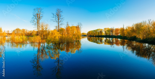 Panorama Of Spring Nature. Trees Woods Standing In Water During 