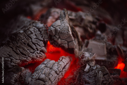 Wallpaper Mural Firewood buring at campfire in the park during holidays Torontodigital.ca