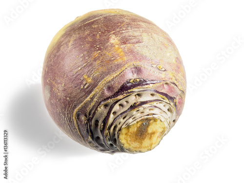 Rutabaga root