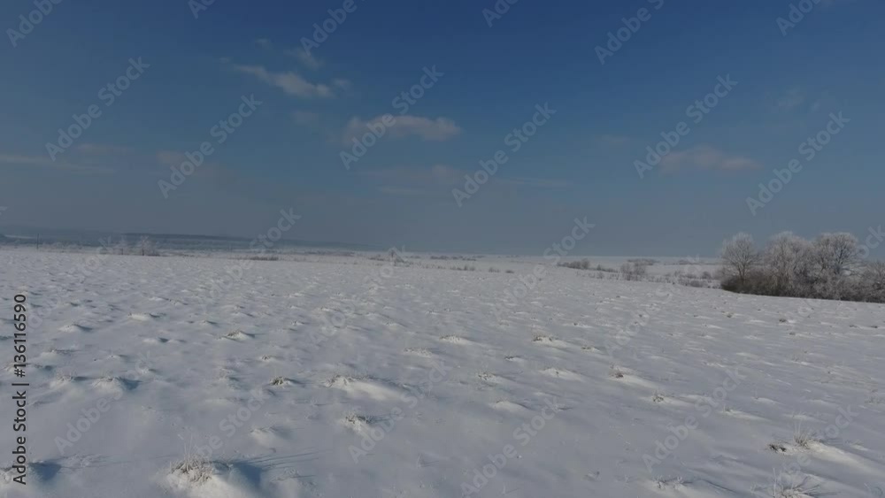 Ukraine January 2017: Aerial-Flying over snow covered field to snowy juniper tree studded hillside on overcast grey day with snow continuing to fall. Ukraine January 2017: Aerial-Flying over snow covered field to snowy juniper tree studded hillside on overcast grey day with snow continuing to fall.