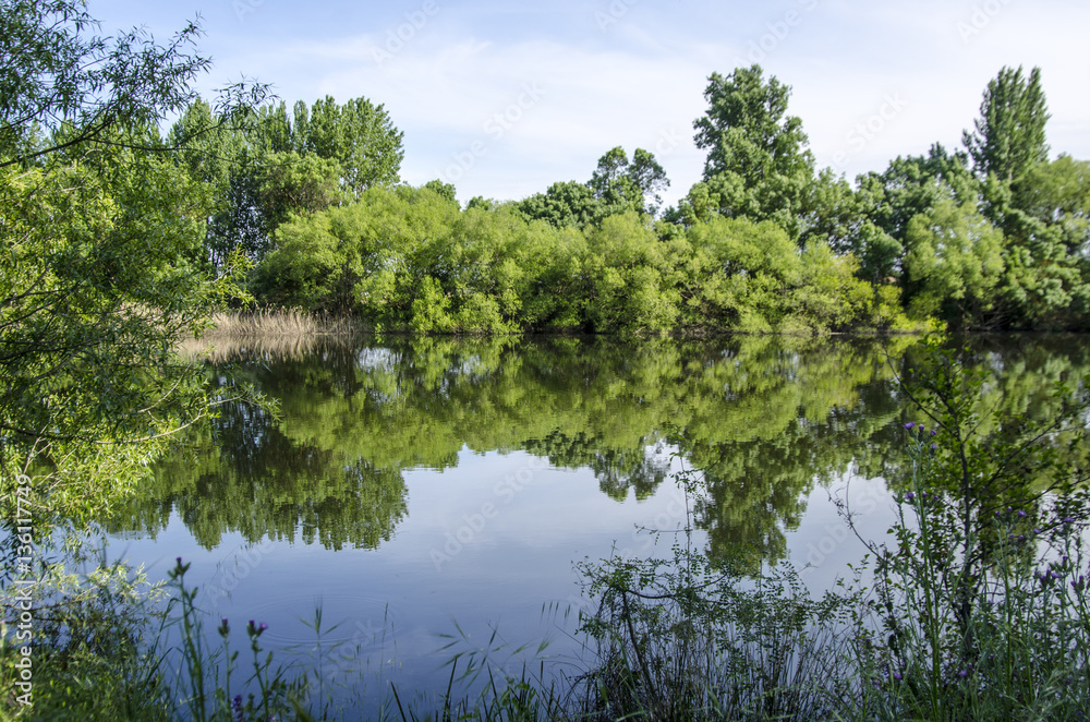 RIBERA DEL RIO TORMES EN PRIMAVERA AÑO 2016 RIBERA DEL RIO TORMES EN PRIMAVERA AÑO 2016