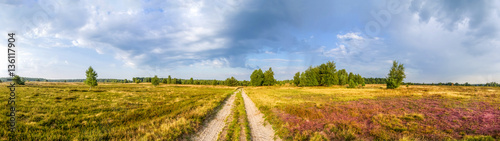 Panorama  L  neburger Heide
