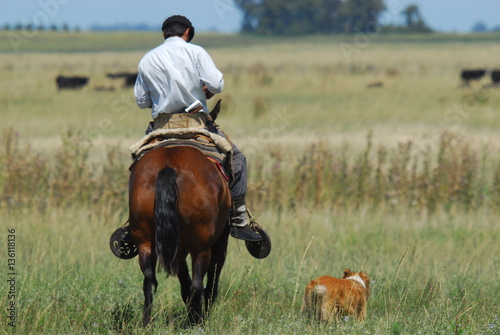 Caballos y Gauchos en Arreo  photo