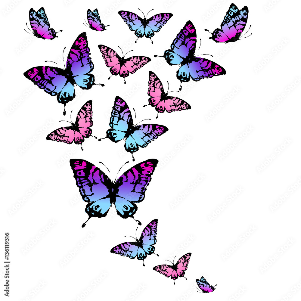 Naklejka beautiful butterfly, on a white
