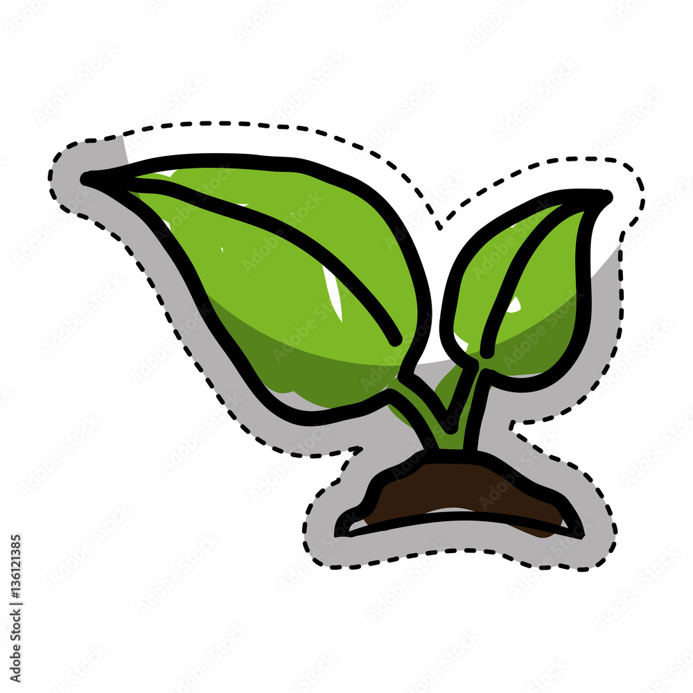 leafs plant isolated icon vector illustration design leafs plant isolated icon vector illustration design
