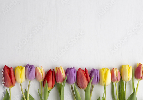 Multicoloured tulips on white wood background