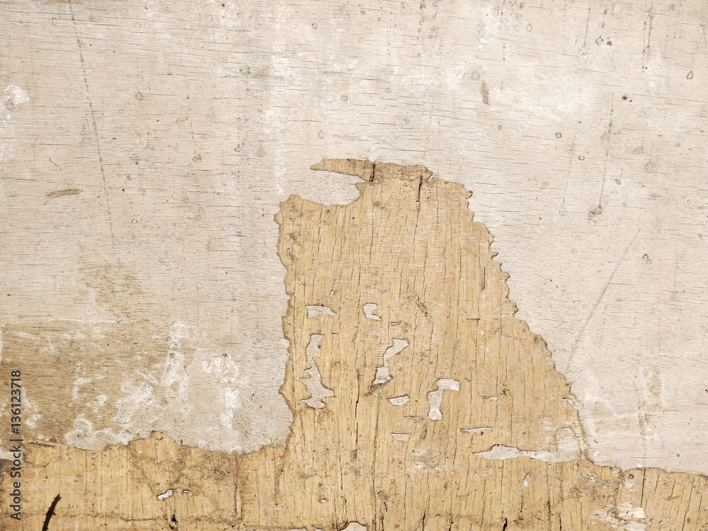 Obraz premium old crack wood texture