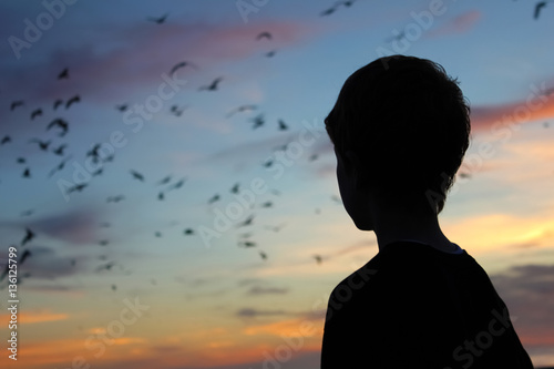 Photography Silhouette. A boy watches seagulls at sunset