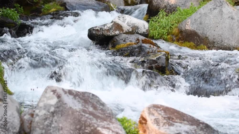 Close-up of raging white water flowing down the Paradise River in Mt. Rainier National Park. Close-up of raging white water flowing down the Paradise River in Mt. Rainier National Park.