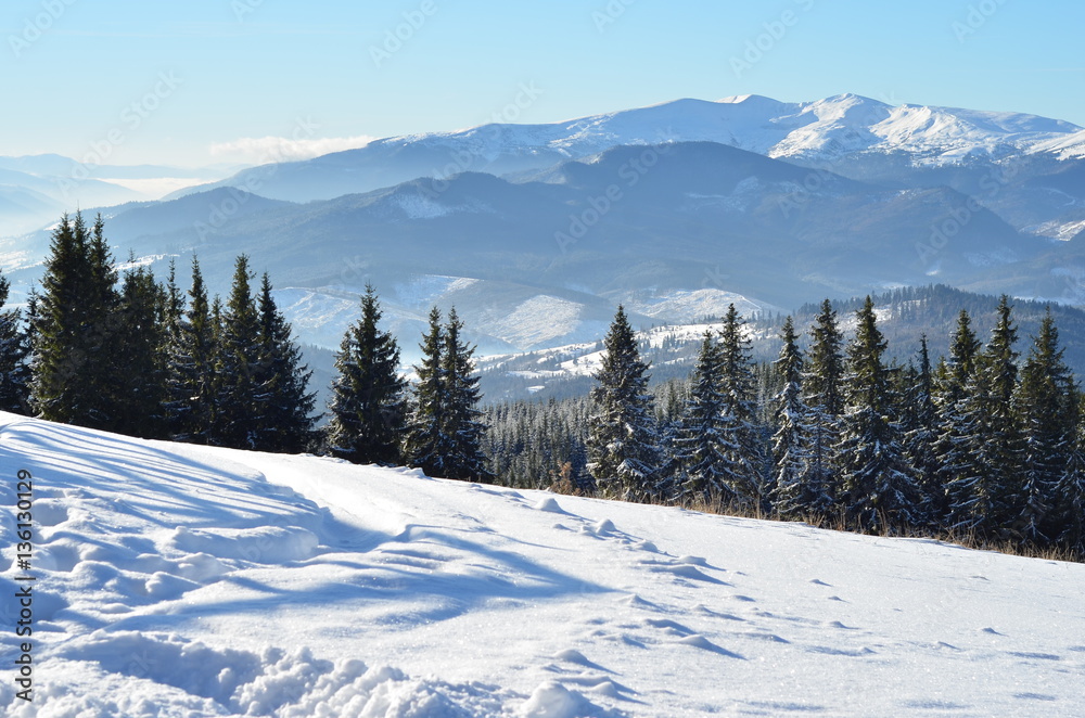 Panoramic view from the Carpathians mount