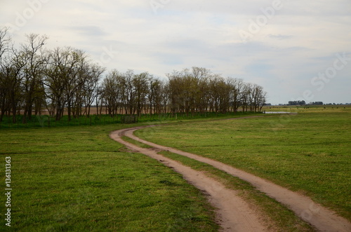 Paisajes de la pampa humeda, campos, argentina photo