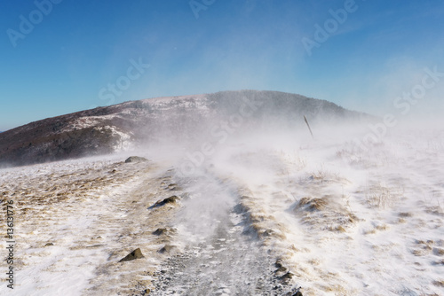 Winter on Roan