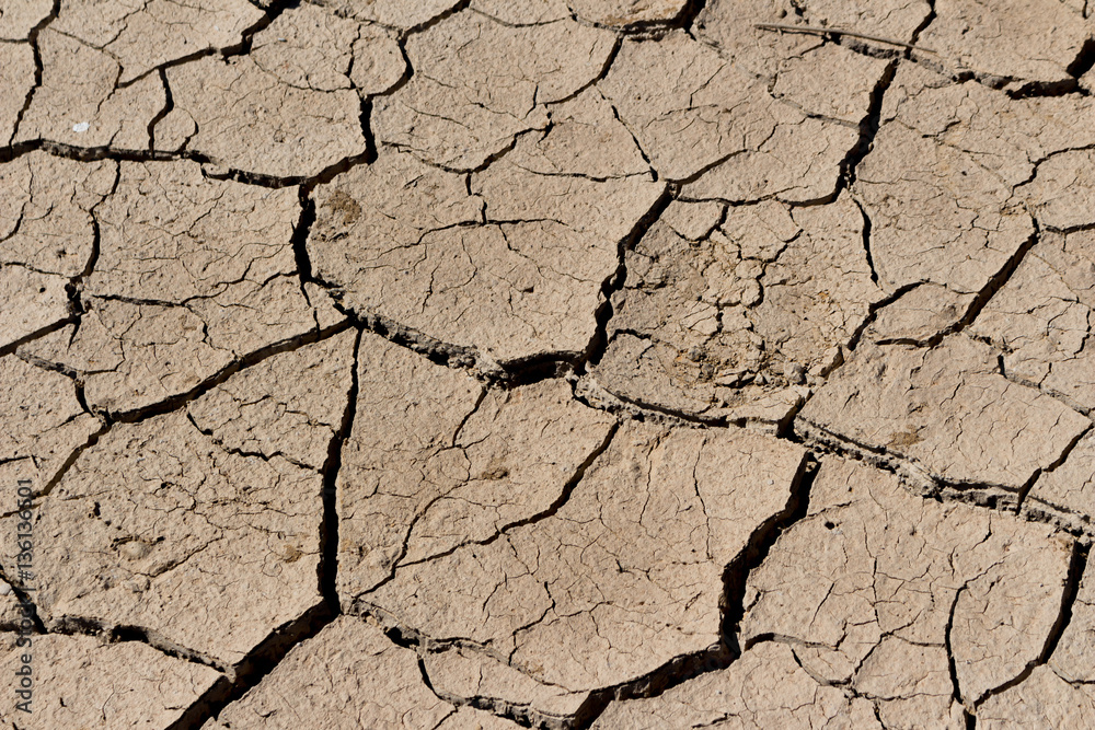 Fototapeta premium arid land.