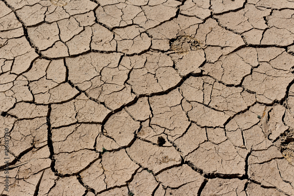 arid land. arid land.