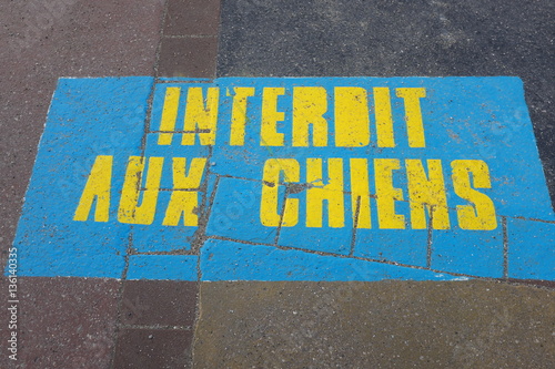Interdit aux chiens, inscription sur le sol bleue et jaune.