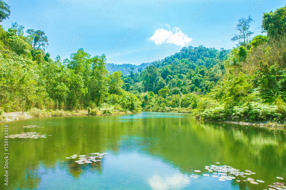 Landscape with beautiful mountain lake