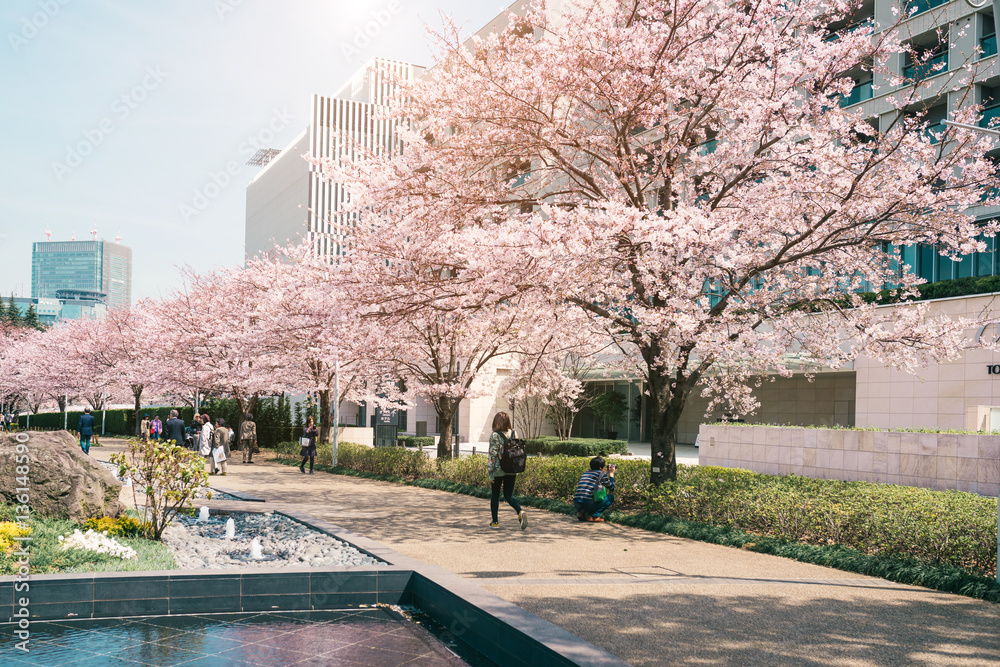 Fototapeta premium TOKYO MIDTOWN, JAPAN - APRIL 1ST: Unidentified tourists enjoy th