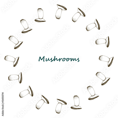 Mushrooms arranged in frame