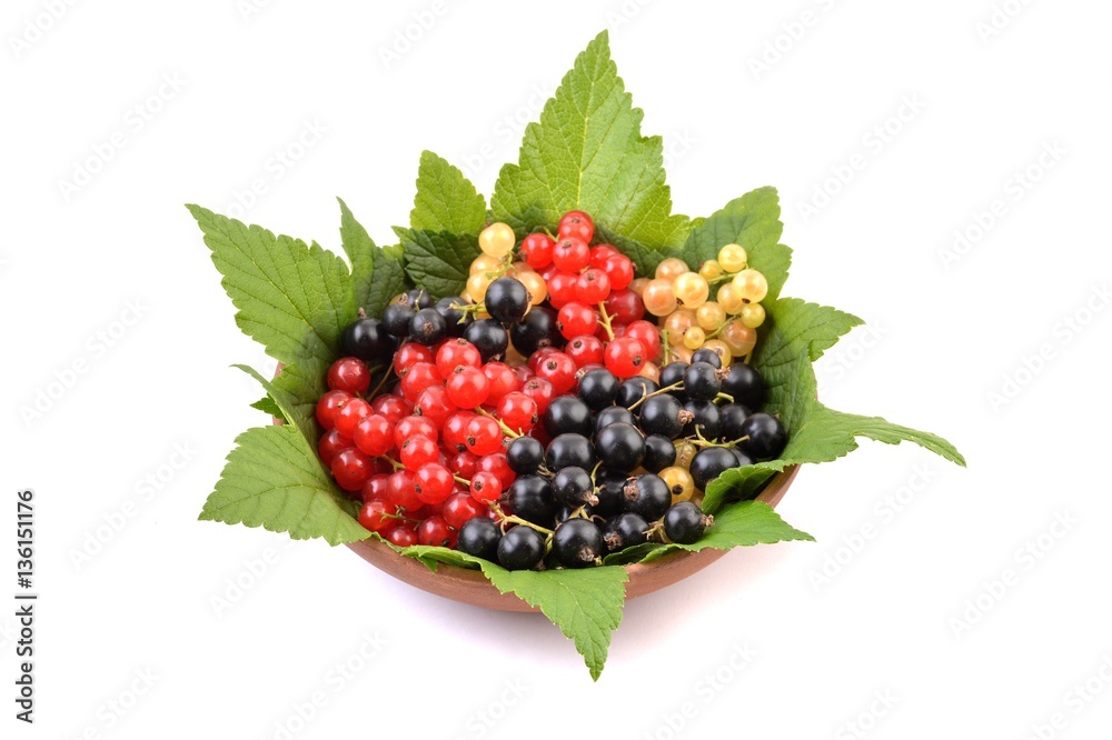 Fresh currant. Red, white and black berries on plate. Fresh currant. Red, white and black berries on plate.